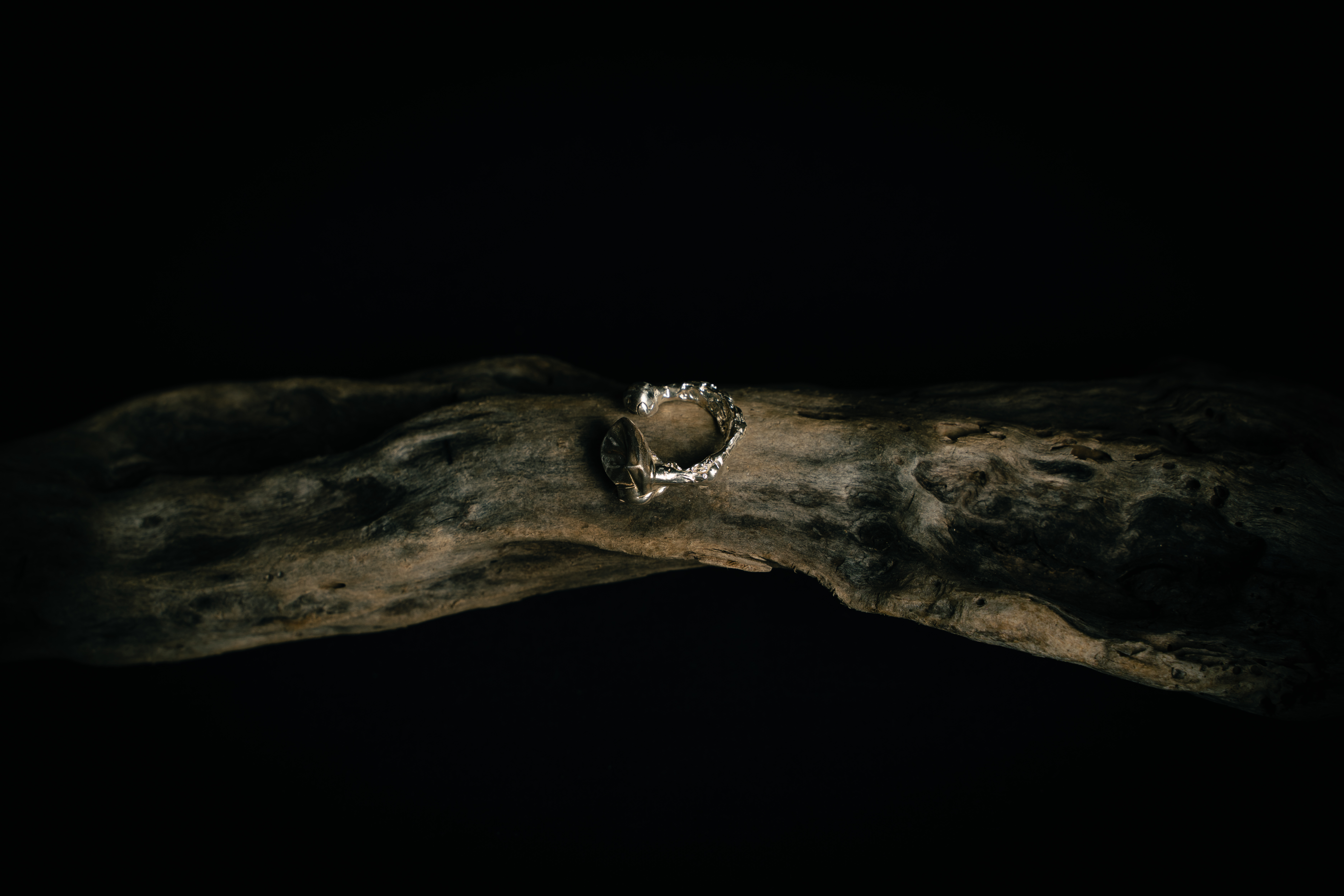 アルデバランの記憶